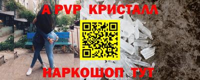 стаф Новодвинск