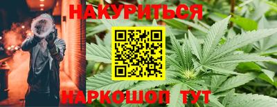 стаф Новодвинск