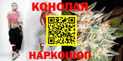 стаф Новодвинск