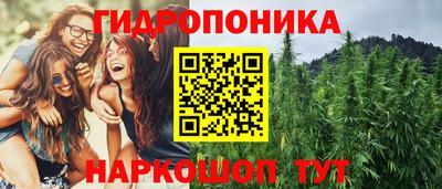 a pvp Новокубанск