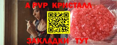 стаф Новодвинск