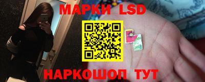 a pvp Новокубанск