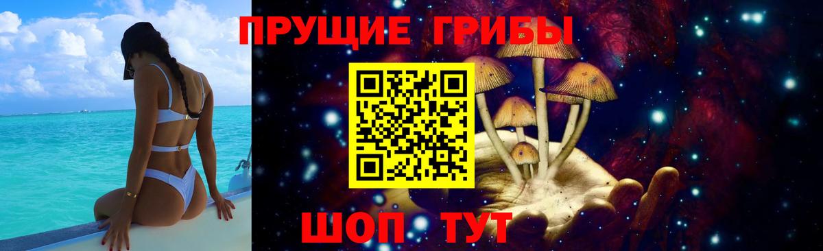Псилоцибиновые грибы мицелий  Вход с VPN  Советский  Псилоцибиновые грибы Psilocybine cubensis 